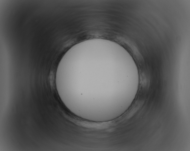 X0000088130036200705141006