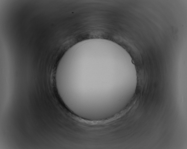 X0000088130038200705141006