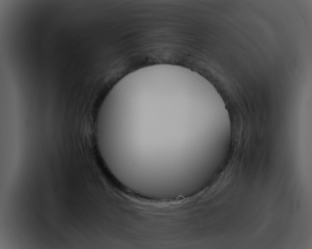 X0000088130040200705141006