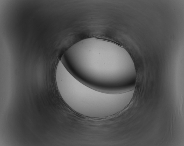 X0000088130041200705141006