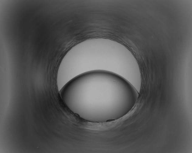 X0000088130045200705141006