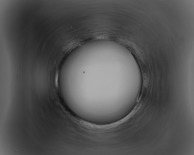 X0000088130047200705141006