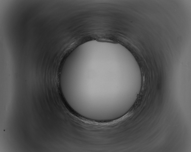 X0000088130048200705141006