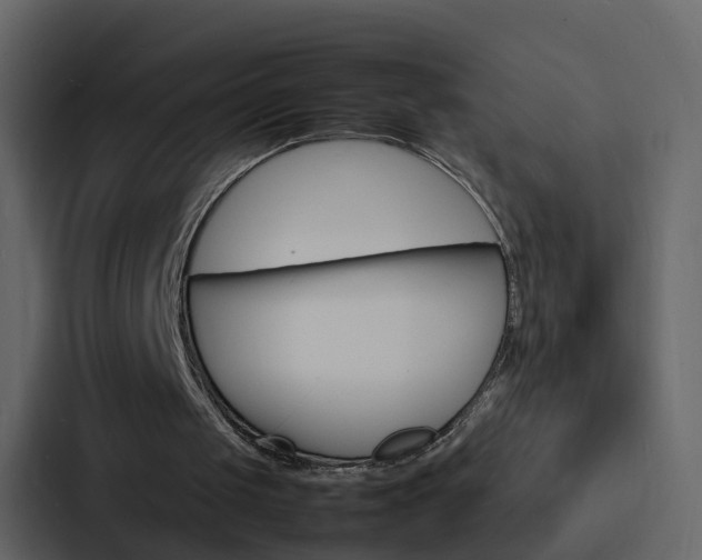 X0000088130049200705141005