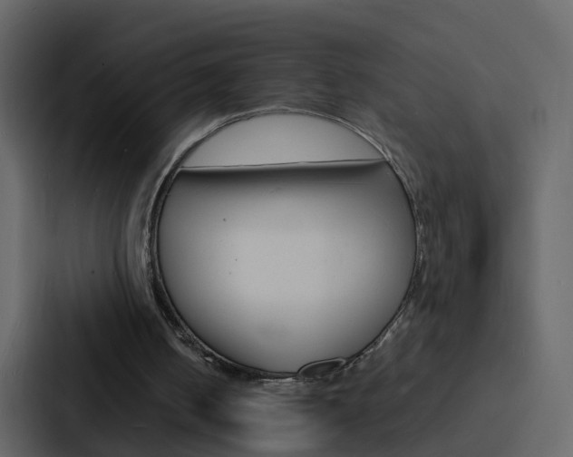 X0000088130050200705141005