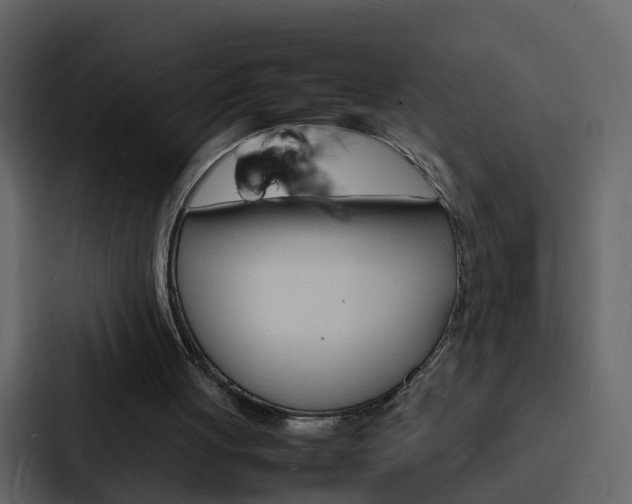 X0000088130051200705141005