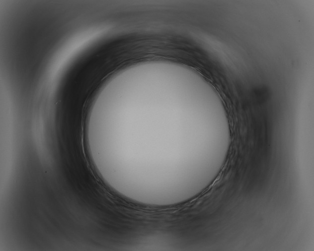 X0000088130052200705141005