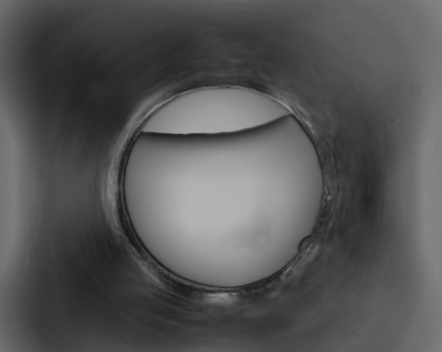 X0000088130053200705141005