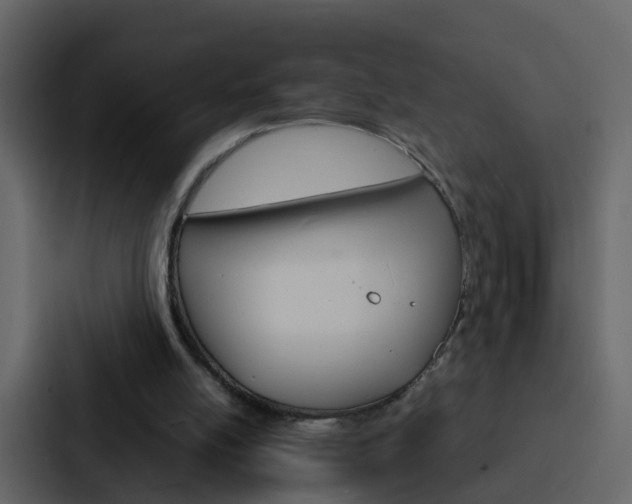 X0000088130054200705141005