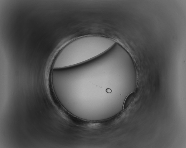 X0000088130055200705141005