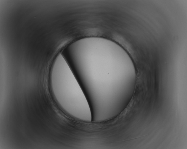 X0000088130058200705141005