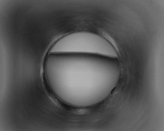 X0000088130059200705141005
