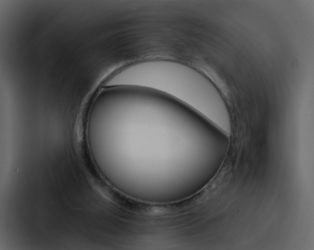 X0000088130060200705141005