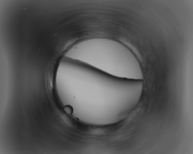 X0000088130062200705141005