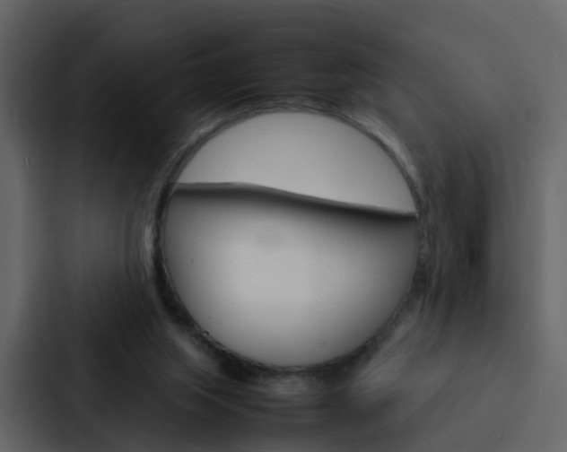 X0000088130063200705141005