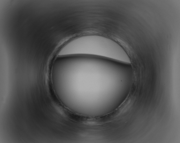 X0000088130064200705141006