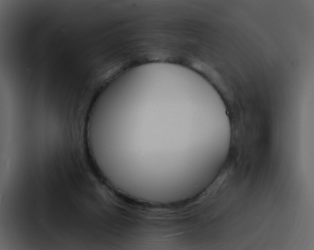 X0000088130066200705141006