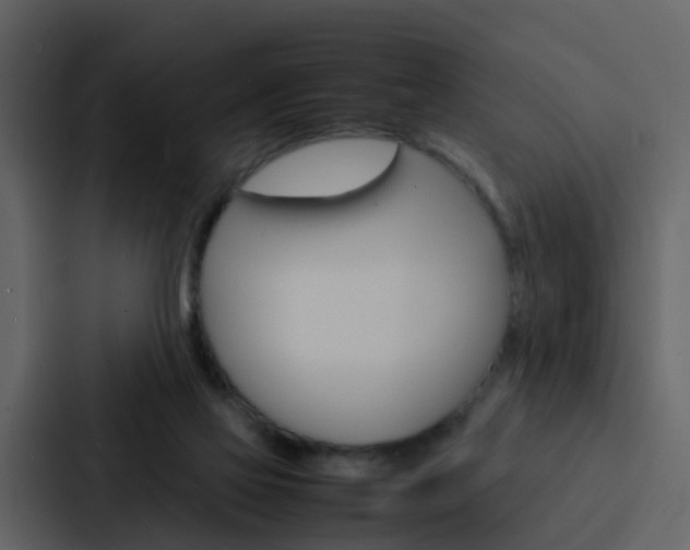 X0000088130069200705141006