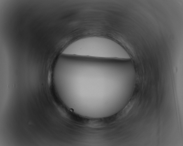 X0000088130070200705141006