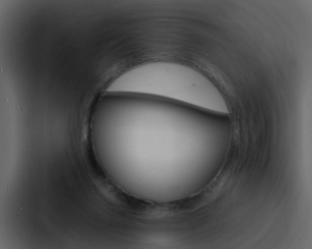 X0000088130072200705141006