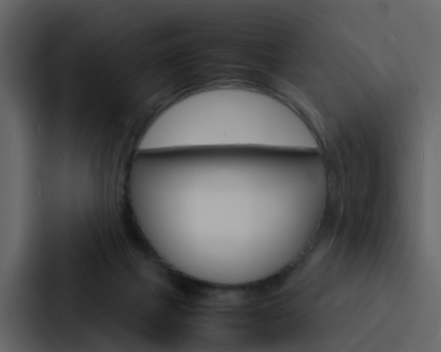 X0000088130073200705141006