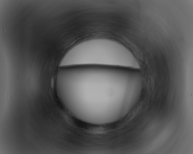 X0000088130075200705141006
