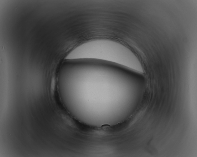X0000088130076200705141006