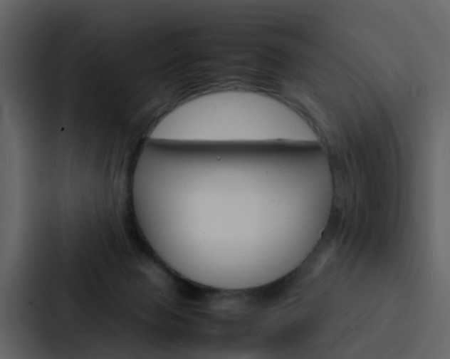 X0000088130077200705141006