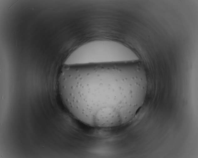 X0000088130078200705141006