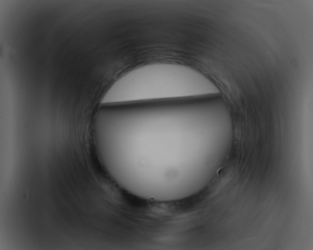 X0000088130079200705141006