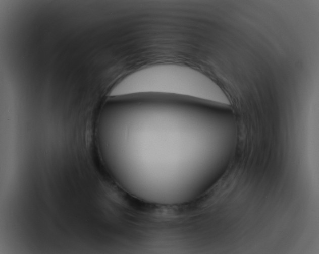 X0000088130080200705141006