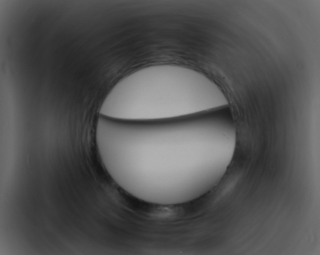X0000088130083200705141006