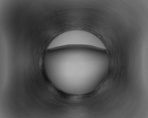 X0000088130084200705141006