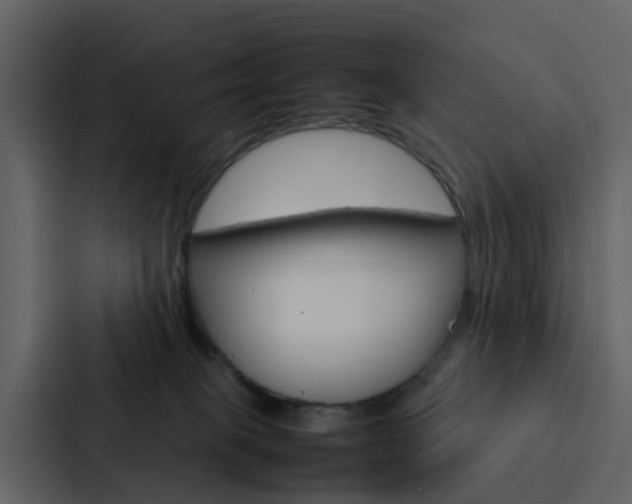 X0000088130085200705141006