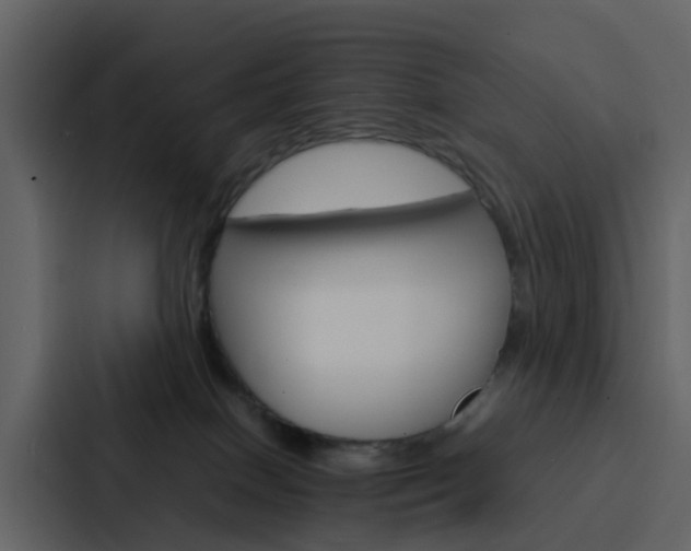X0000088130086200705141006