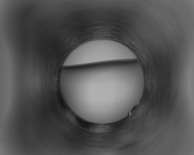 X0000088130087200705141006