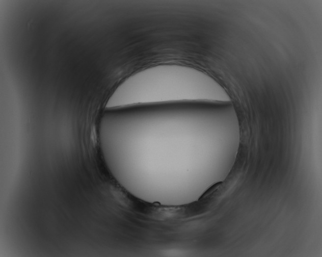 X0000088130089200705141006