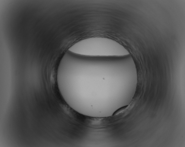 X0000088130090200705141006