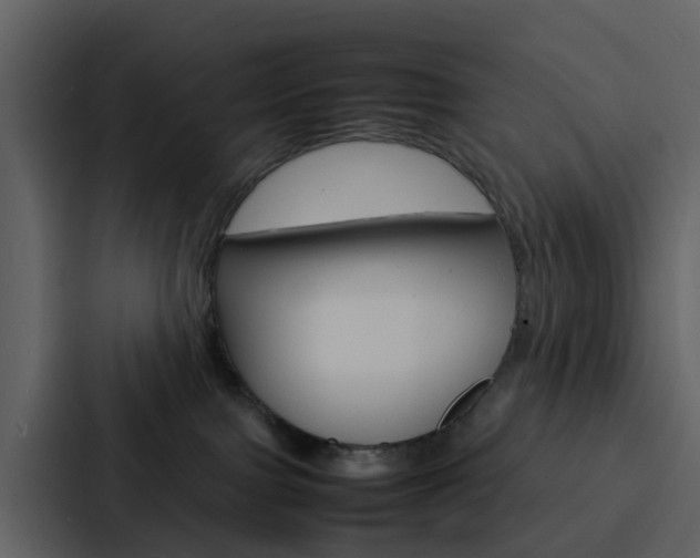 X0000088130091200705141006
