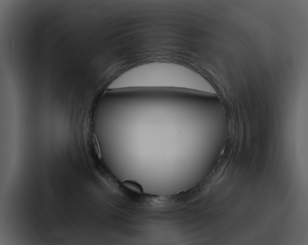 X0000088130092200705141006