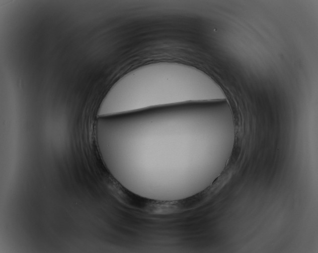 X0000088130093200705141006