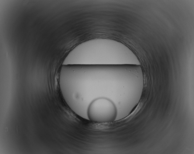 X0000088130094200705141006