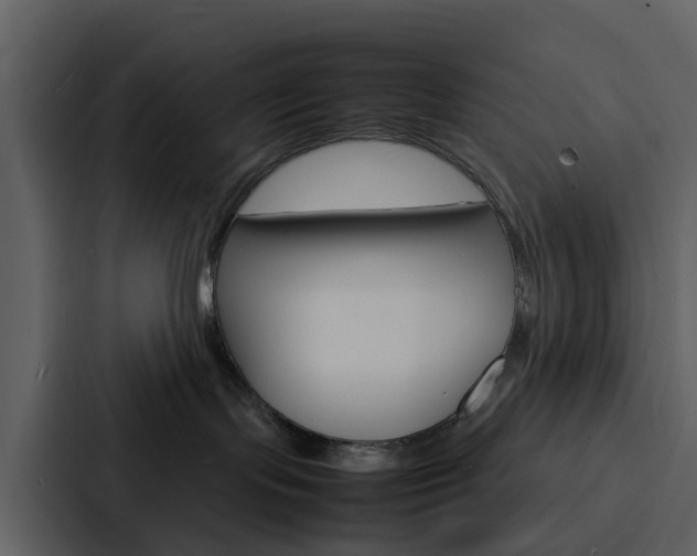 X0000088130095200705141006