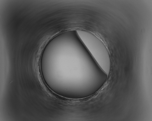 X0000088130097200705141005