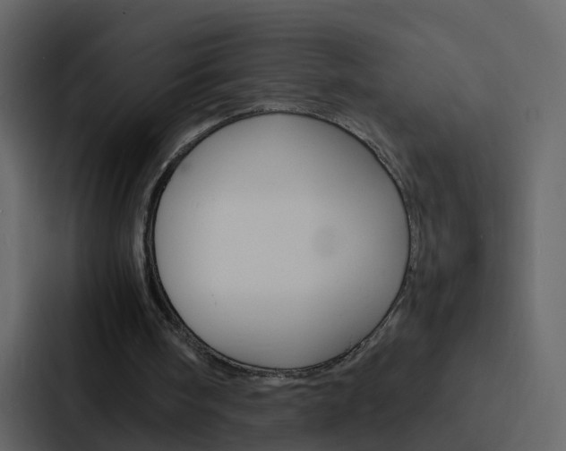 X0000088130098200705141005