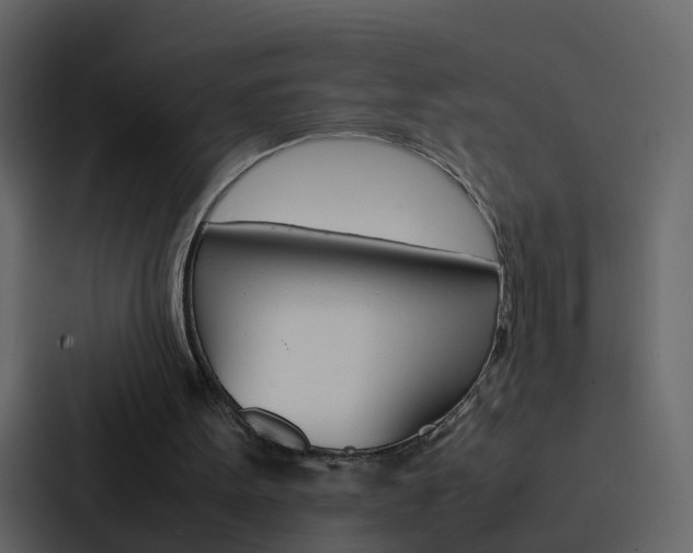 X0000088130099200705141005