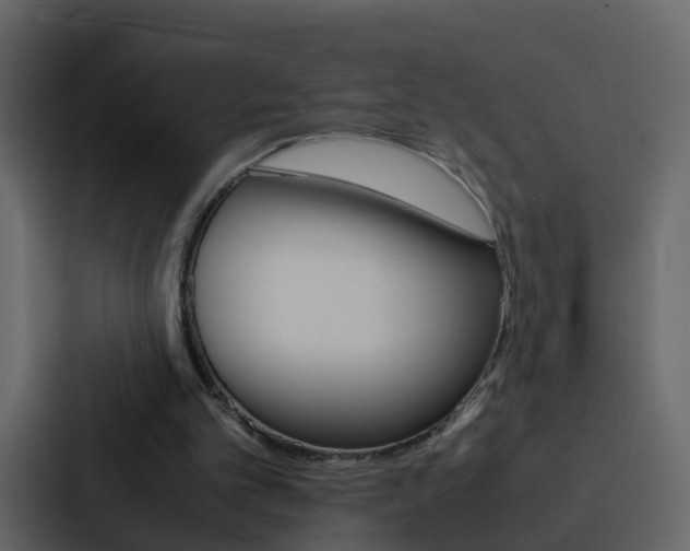 X0000088130101200705141005