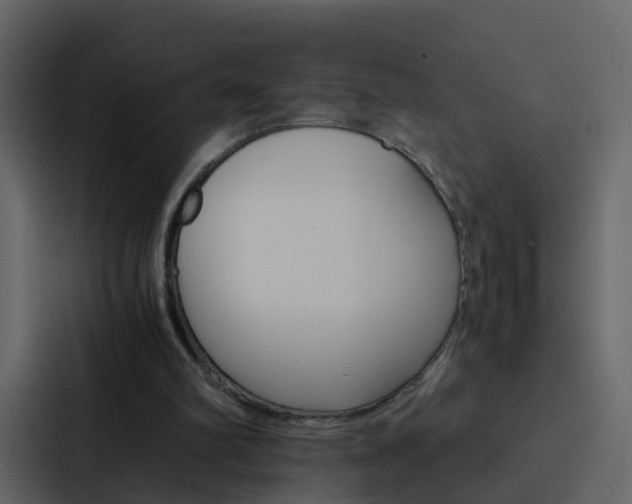 X0000088130102200705141005