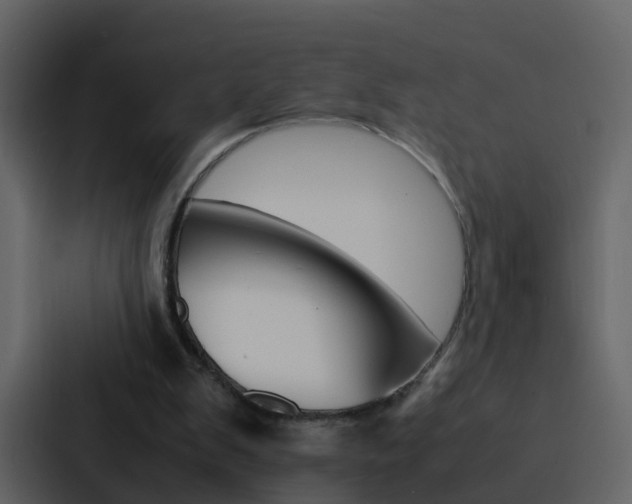 X0000088130103200705141005