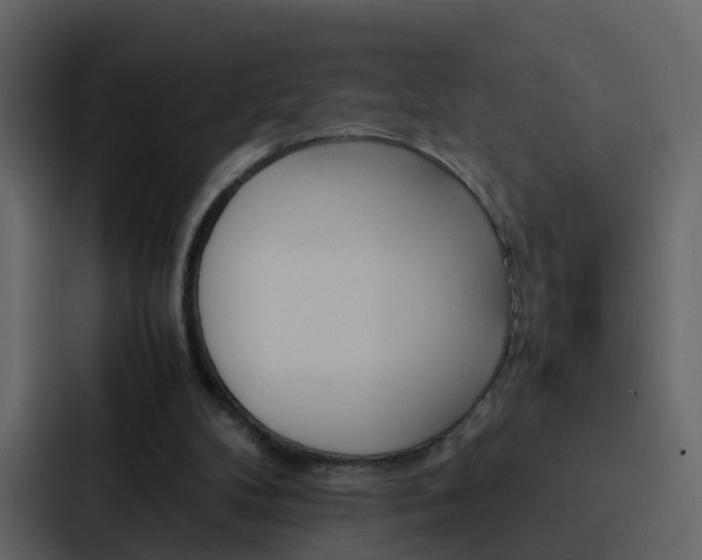 X0000088130104200705141005
